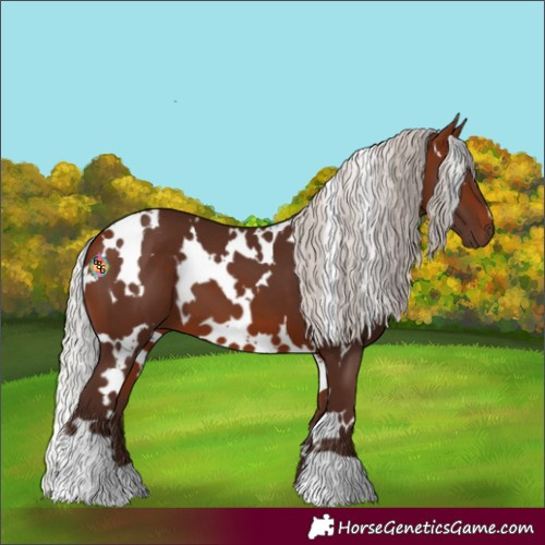 Horse Color:White Spotted Silver Bay 