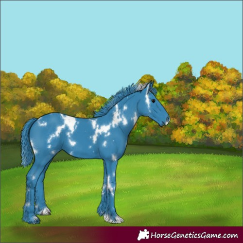 Horse Color:Watercolor White Spotted Black 