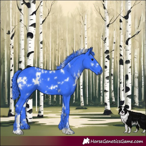 Horse Color:Watercolor White Spotted Black