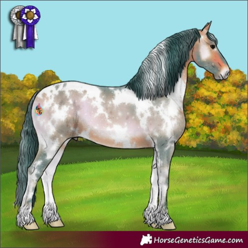 Horse Color:Watercolor White Spotted Brown Onyx