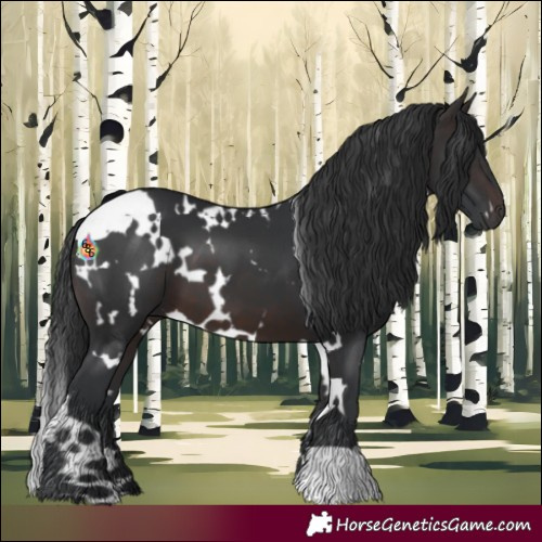 Horse Color:White Spotted Brown 