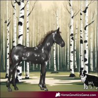 Horse Color:White Spotted Liver Chestnut 