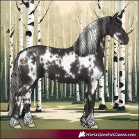 Horse Color:White Spotted Liver Chestnut 