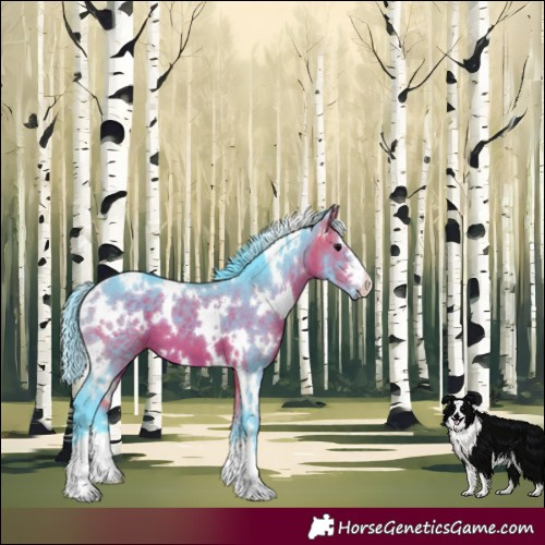 Horse Color:Watercolor White Spotted Brown