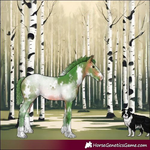 Horse Color:Watercolor White Spotted Brown