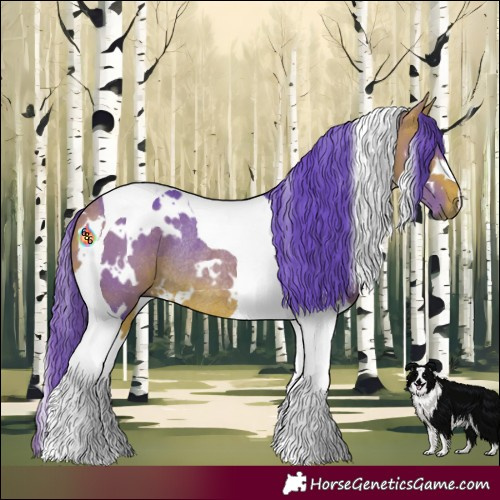 Horse Color:Watercolor White Spotted Bay Tobiano Rabicano