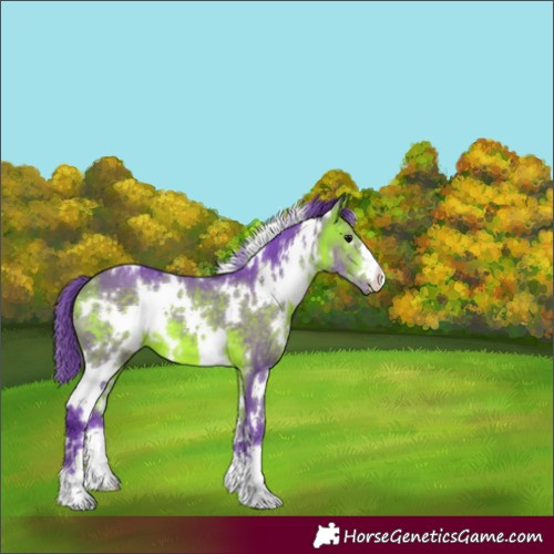 Horse Color:Watercolor White Spotted Bay