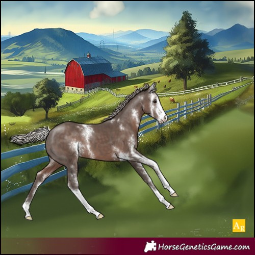 Horse Color:Silver Black Sabino