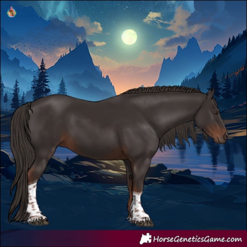 Horse Color:Liver Chestnut Tobiano 