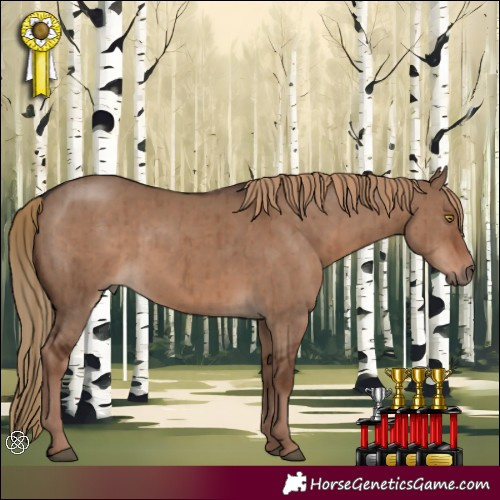 Horse Color:Liver Red Dun Brindle 