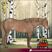 Horse Color:Liver Red Dun Brindle 