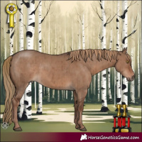 Horse Color:Liver Red Dun Brindle 