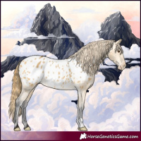 Horse Color:Buckskin Dun Blanket