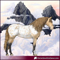 Horse Color:Buckskin Dun Appaloosa 