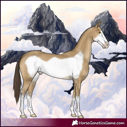 Horse Color:Classic Cream Champagne Frame 