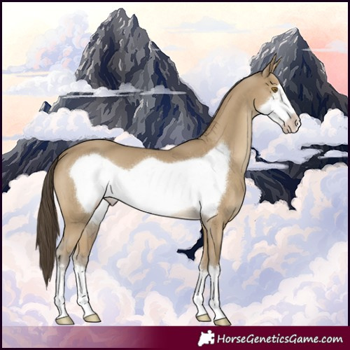Horse Color:Classic Cream Champagne Frame 