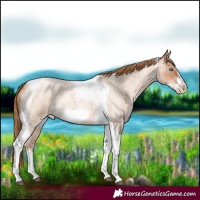 Horse Color:Red Roan Pearl Tobiano Frame 