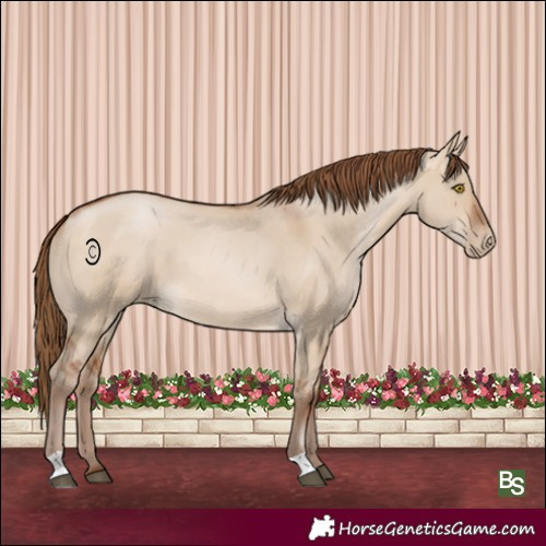 Horse Color:Brown Pearl Dun