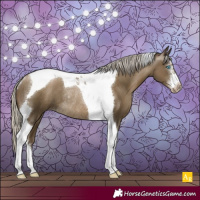 Horse Color:Gray Silver Smoky Black Pearl Sabino Tobiano Rabicano