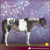 Horse Color:Smoky Black Tobiano Blanket 