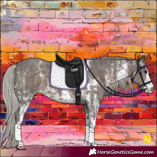 Horse Color:Silver Black Sabino 