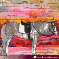 Horse Color:Silver Black Sabino 