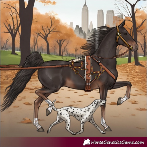 Horse Color:Liver Chestnut Tobiano 