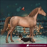 Horse Color:Liver Chestnut Pearl 