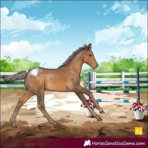 Horse Color:Chocolate Palomino Varnish Rabicano 