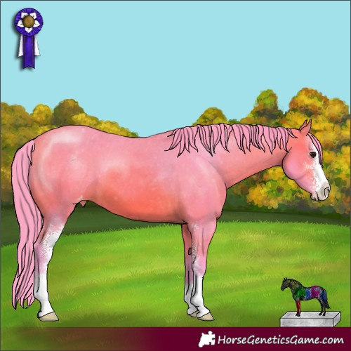 Horse Color:Watercolor Bay Sabino Appaloosa 