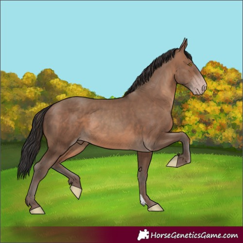 Horse Color:Sable Champagne 
