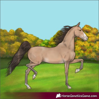 Horse Color:Amber Champagne Splash