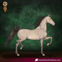 Horse Color:Sable Champagne Dun 