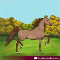 Horse Color:Red Dun 