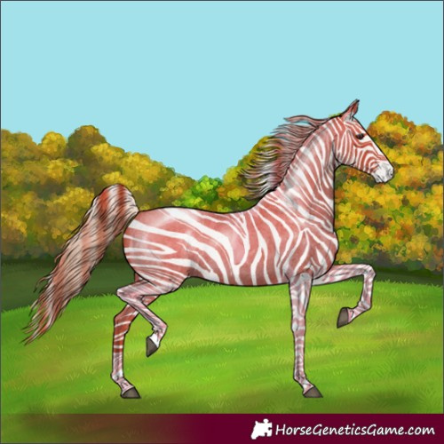 Horse Color:Red Roan Tobiano 