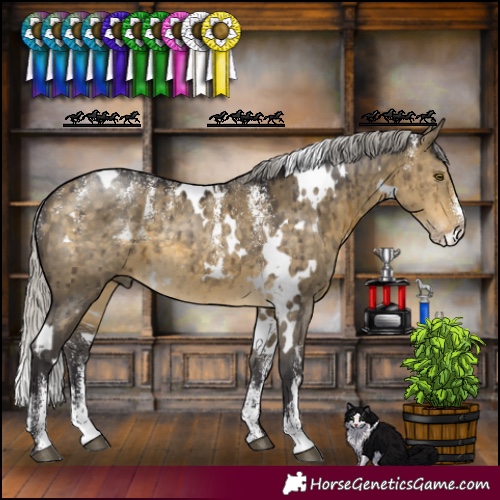 Horse Color:Powder White White Spotted Silver Buckskin Dun Brindle 