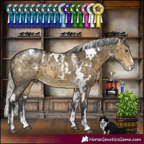 Horse Color:Powder White White Spotted Silver Buckskin Dun Brindle 
