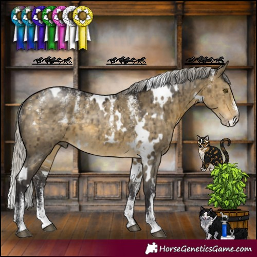 Horse Color:Powder White White Spotted Silver Buckskin Dun Brindle