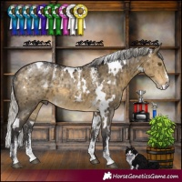 Horse Color:Powder White White Spotted Silver Buckskin Dun Brindle