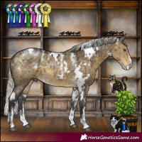 Horse Color:Powder White White Spotted Silver Buckskin Dun Brindle