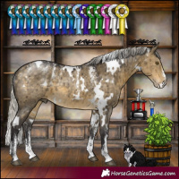 Horse Color:Powder White White Spotted Silver Buckskin Dun Brindle