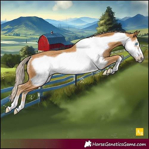 Horse Color:Palomino Frame Rabicano 