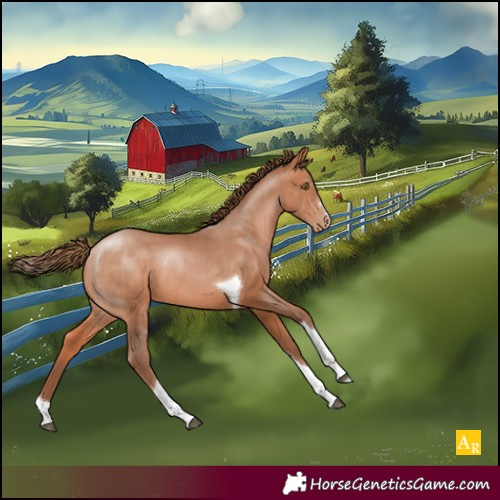 Horse Color:Bay Pearl Tobiano Rabicano 