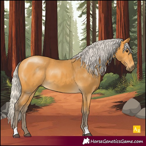Horse Color:Silver Buckskin