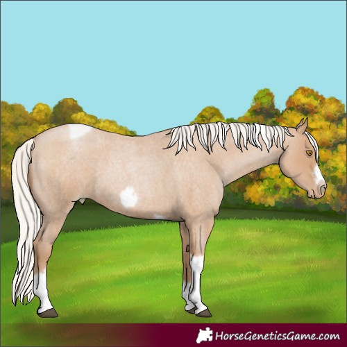 Horse Color:Silver Blue Roan Pearl Tobiano Frame 