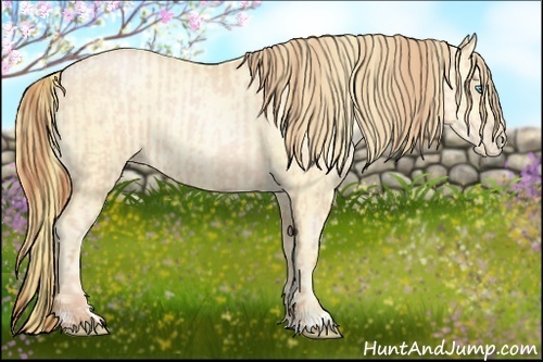 Horse Color:Buckskin Roan Pearl  and Buckskin Roan Pearl 