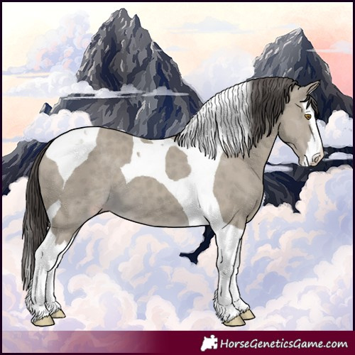 Horse Color:Classic Cream Champagne Splash Tobiano