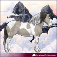 Horse Color:Classic Cream Champagne Splash Tobiano 