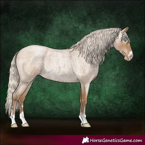 Horse Color:Gray Silver Smoky Blue Roan Pearl 