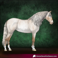 Horse Color:Gray Silver Smoky Blue Roan Pearl